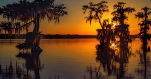 Sunset over a tranquil lake, with silhouetted cypress trees draped in Spanish moss reflecting on the water.