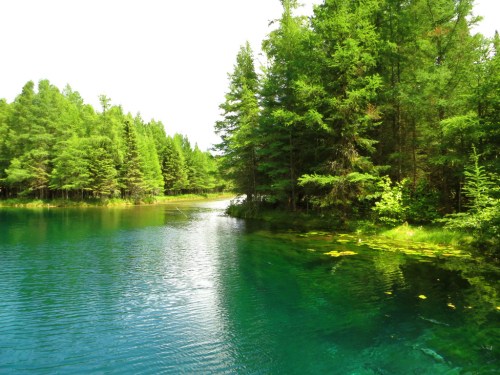 A serene lake surrounded by lush green trees under a bright sky, reflecting the vibrant colors of nature.
