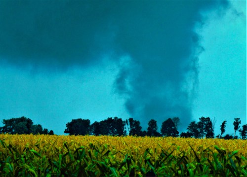 A cornfield under a dark, cloudy sky with a swirling cloud formation in the distance.