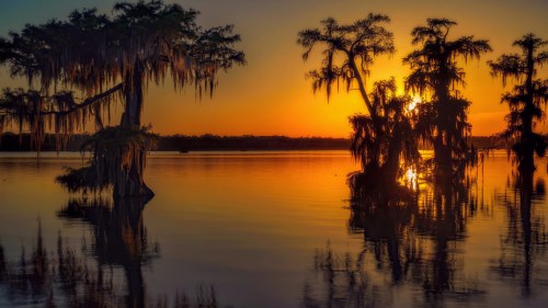 Sunset over a calm lake, with silhouetted cypress trees draped in Spanish moss reflecting on the water.