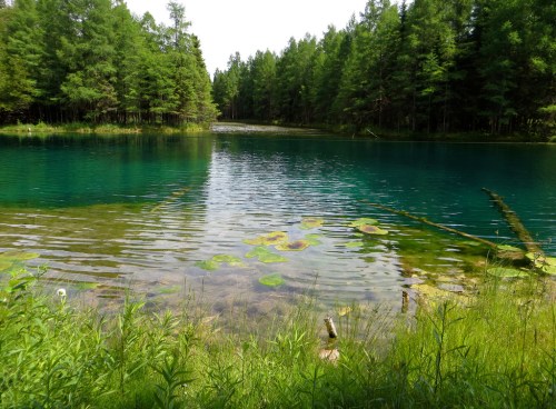A serene lake surrounded by lush green trees, with clear blue water and lily pads floating on the surface.