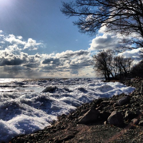Waves crash against a rocky shore under a cloudy sky, with trees silhouetted in the background.
