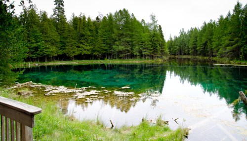 A serene lake surrounded by lush green trees, reflecting the sky and vegetation in its clear waters.