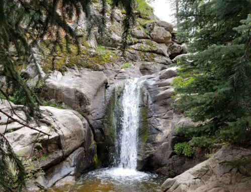A serene waterfall cascading over rocky terrain, surrounded by lush green trees and mossy stones.
