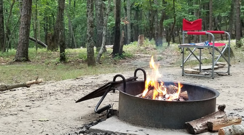 A campfire burns in a metal ring, with a red chair nearby, surrounded by trees in a serene forest setting.