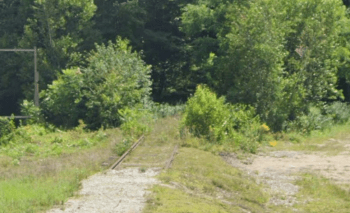 Overgrown railway tracks lead into a lush green area, surrounded by trees and shrubs.