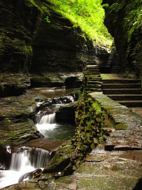 A serene gorge with flowing water, moss-covered rocks, and stone steps leading up through lush greenery.