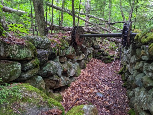 Overgrown stone walls with moss, surrounded by trees, featuring an old metal wheel and fallen branches.