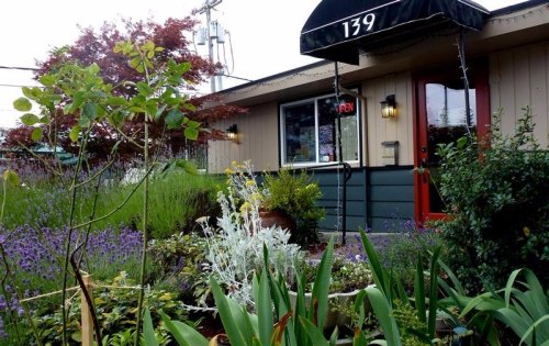 A charming storefront with an open sign, surrounded by colorful flowers and greenery.