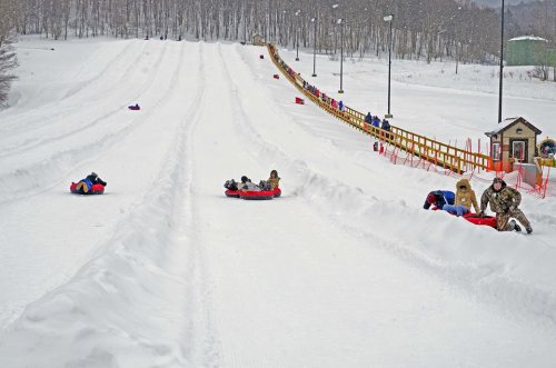 People sledding down a snowy hill, with a wooden railing and trees in the background, on a winter day.