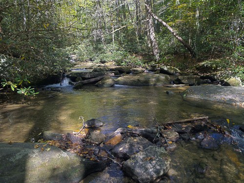 A serene stream flows over rocks, surrounded by lush greenery and trees in a peaceful forest setting.