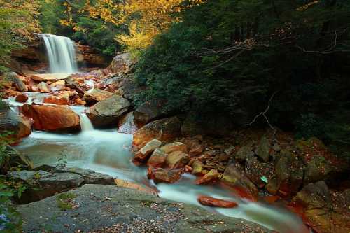 A serene waterfall cascades over rocks, surrounded by lush greenery and autumn foliage.