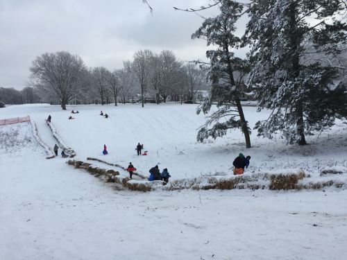 People sledding down a snowy hill, with trees and a winter landscape in the background.