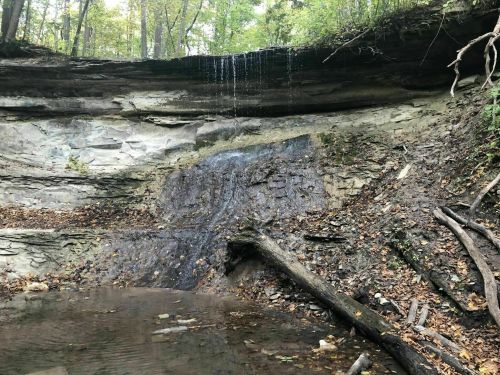 A small waterfall cascades down a rocky cliff into a calm pool, surrounded by trees and fallen leaves.