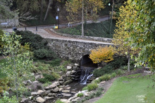 A stone bridge over a small stream, surrounded by greenery and autumn trees in a peaceful park setting.