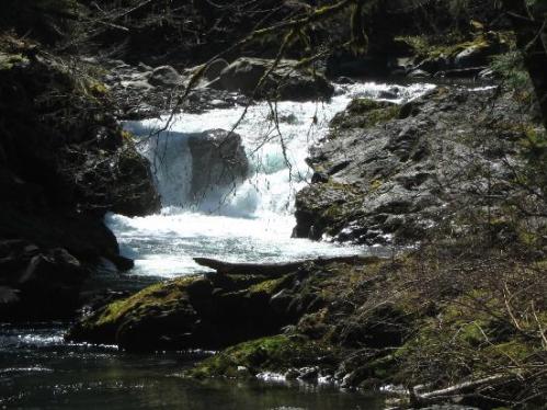 A serene waterfall cascades over rocky terrain, surrounded by lush greenery and calm waters.