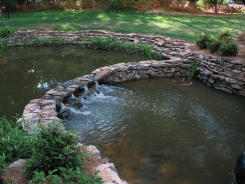A serene pond with a stone border and a small waterfall, surrounded by lush green grass and plants.
