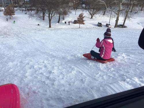 A person in a pink jacket sleds down a snowy hill, surrounded by trees and other sledders in the background.