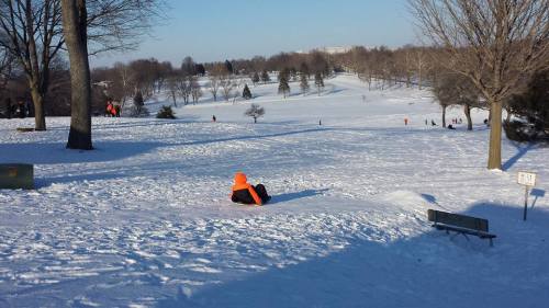 A snowy park scene with people sledding down hills, trees in the background, and a clear blue sky.