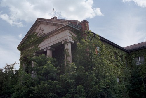 An overgrown building with ivy covering its facade and classical columns, set against a cloudy sky.