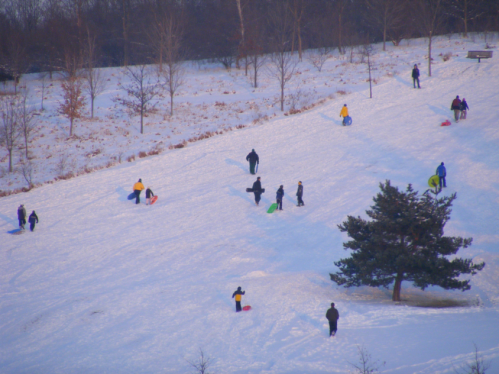 People sledding down a snowy hill, with trees in the background and a clear winter sky.