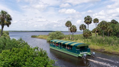 A green boat with passengers glides through a calm river surrounded by lush greenery and palm trees under a cloudy sky.