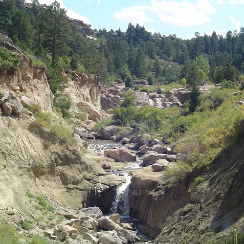 A serene landscape featuring a rocky creek surrounded by lush greenery and tall trees under a blue sky.