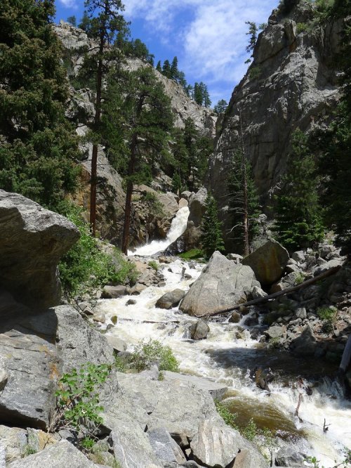 A rushing river flows through a rocky canyon, surrounded by tall trees and steep cliffs under a blue sky.