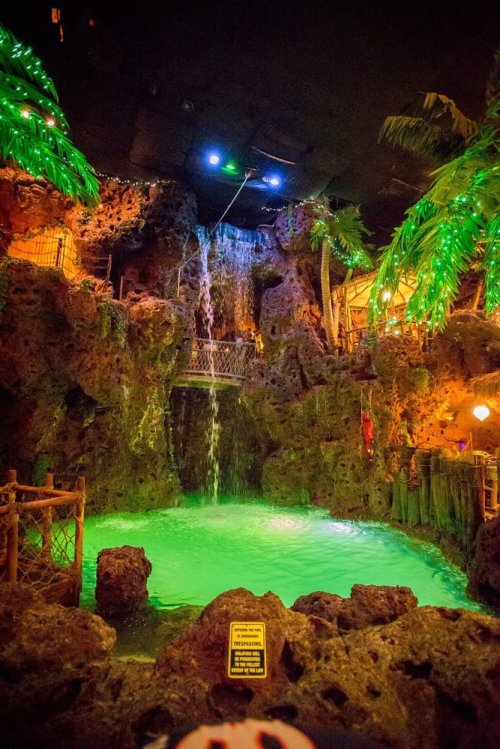 A tropical-themed indoor waterfall cascading into a green pool, surrounded by rocky formations and lush palm trees.
