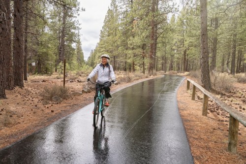 A person rides a bicycle on a wet path through a forest of tall pine trees on a rainy day.