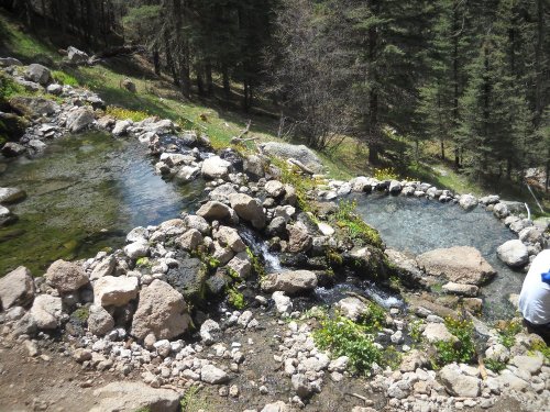 A serene landscape featuring natural hot springs surrounded by rocks and greenery in a forested area.