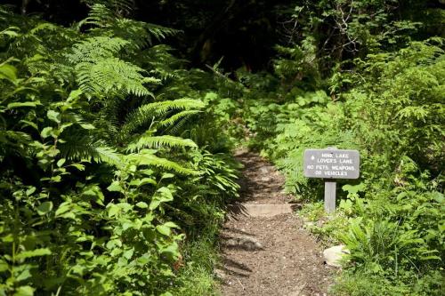 A narrow dirt path surrounded by lush greenery, leading to a sign that reads "Mink Lake, Lovers Lake: No pets, weapons, or vehicles."