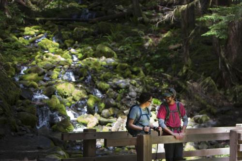 A couple stands on a wooden bridge in a lush forest, with a mossy stream and waterfall in the background.