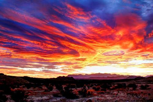 Vibrant sunset over a desert landscape, with dramatic clouds in shades of orange, pink, and purple.