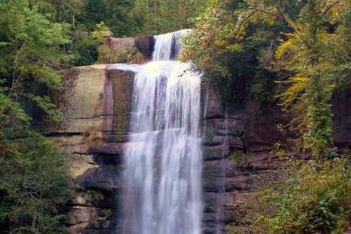 A serene waterfall cascading over rocky cliffs, surrounded by lush green trees and foliage.