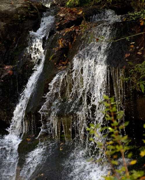 A close-up of a cascading waterfall over rocky terrain, surrounded by autumn leaves and greenery.