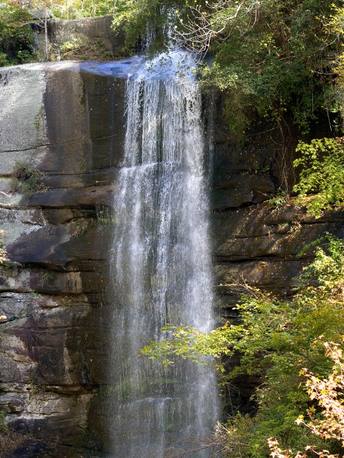 A serene waterfall cascading down a rocky cliff, surrounded by lush green foliage.