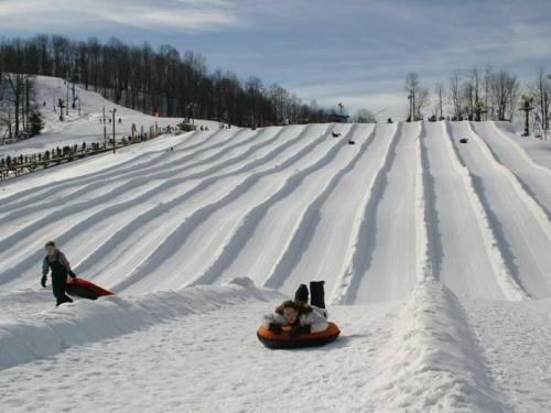Two people enjoy tubing down a snowy slope with multiple tracks, surrounded by trees and a clear blue sky.