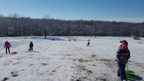 Children sledding down a snowy hill on a clear winter day, with trees in the background.