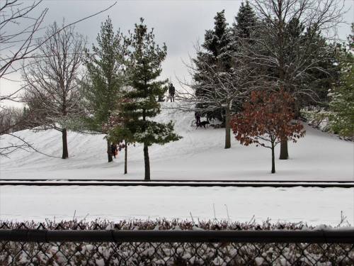 A snowy landscape with trees, a hill, and people walking their dogs near a fence and train tracks.