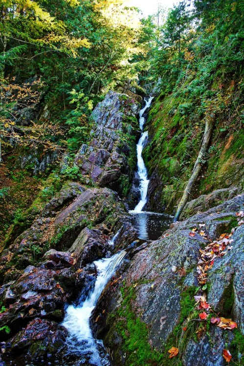 A serene waterfall cascading over rocky terrain, surrounded by lush greenery and autumn leaves.