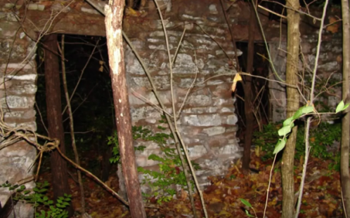 Abandoned stone structure partially hidden by trees and overgrown vegetation in a forested area.