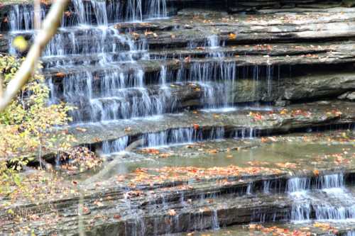 A serene waterfall cascading over rocky steps, surrounded by autumn leaves and tranquil water pools.