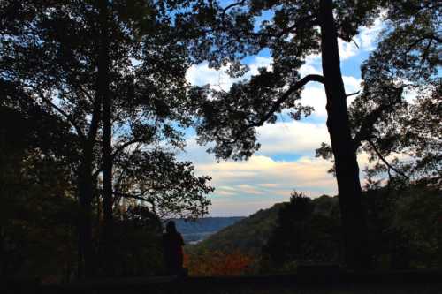 Silhouette of a person sitting among trees, overlooking a valley under a cloudy sky.