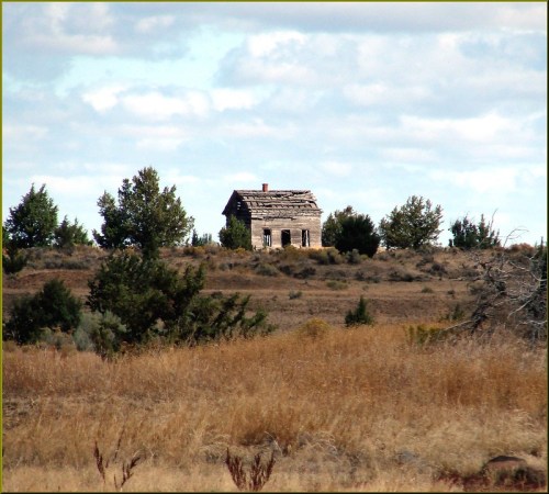 A weathered, abandoned house stands alone in a dry, grassy landscape with sparse trees under a cloudy sky.