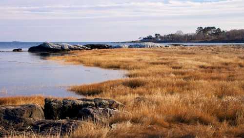 A serene coastal scene with golden grass, rocky shorelines, and calm waters under a cloudy sky.