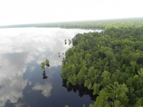 Aerial view of a lush green forest reflecting in a calm lake under a cloudy sky.