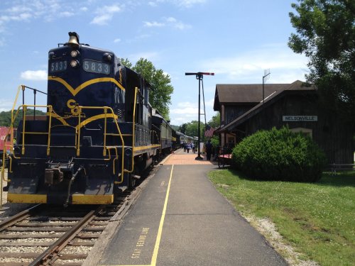 A blue train at a station with a wooden building and greenery under a clear sky.