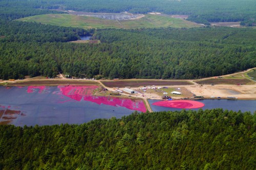 Aerial view of a cranberry bog with vibrant pink water, surrounded by lush green forests and a small gathering area.
