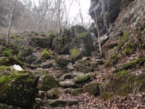 Rocky terrain with moss-covered stones and sparse trees, set against a rocky cliff in a wooded area.